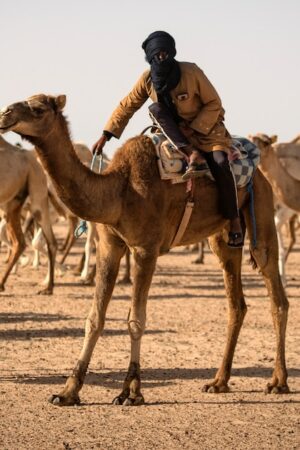 Un éleveur de dromadaires conduit son troupeau près de Dakhla, au Sahara occidental, le 13 octobre 2019