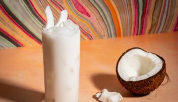 7 coconut recipes that channel tropical vibes and silly memes