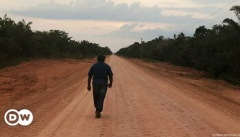 Brazil court overturns Amazon highway decision