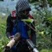 «C'est une guérilla de l'intérieur» : en Colombie, la guerre du Cauca met à mal la paix du président Gustavo Petro