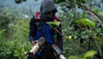 «C'est une guérilla de l'intérieur» : en Colombie, la guerre du Cauca met à mal la paix du président Gustavo Petro