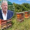 Diddums! Jeremy Clarkson buzzes back at local ramblers who complained about being stung by bees near his Diddly Squat farm