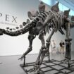 Dinosaur skeleton sells for record-breaking $44.6 million