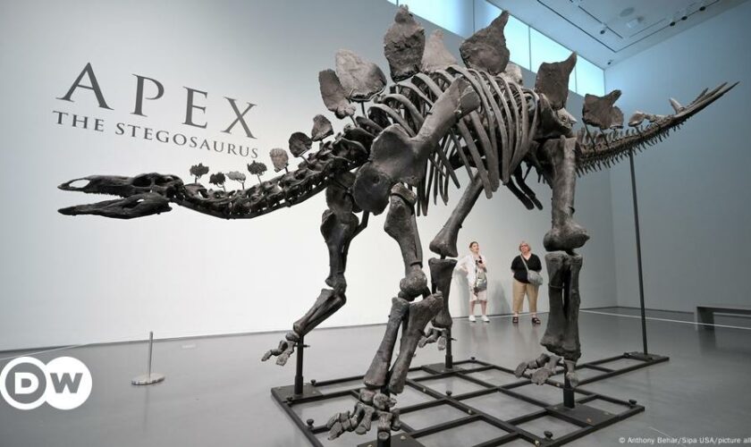 Dinosaur skeleton sells for record-breaking $44.6 million