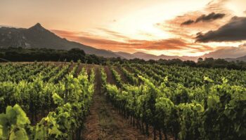En Corse, roadtrip d’exception dans des vignobles en plein renouveau, entre terre et mer