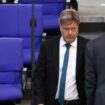 FDP und Robert Habeck: Christian Lindner und eine sommerliche Stichelei gegen den Grünen