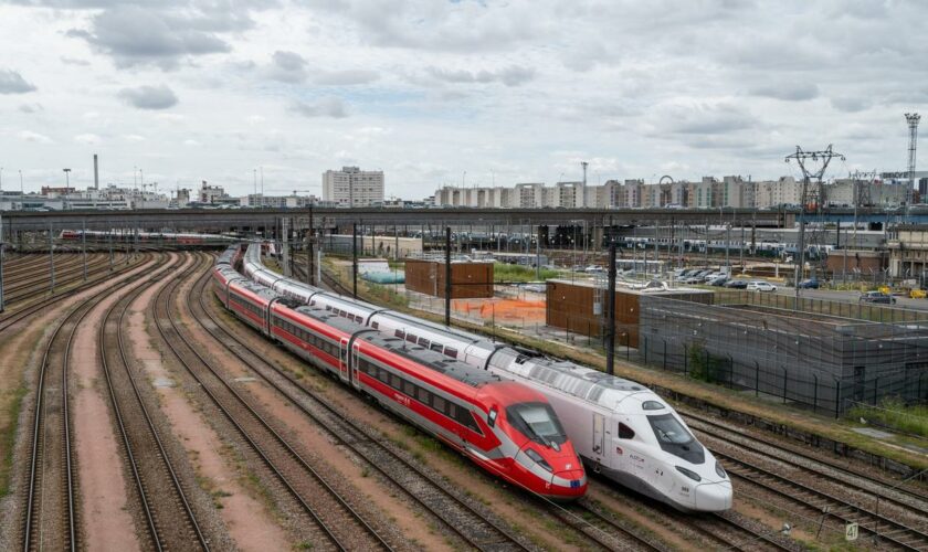 Frankreich: Schnellzugnetz in Frankreich ist nach Vandalismus beeinträchtigt