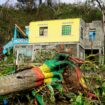 Hurricane Beryl strikes Jamaica with widespread destruction