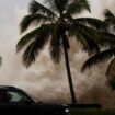 Hurrikan »Beryl« in der Karibik: Venezuela-Vizepräsidentin Delcy Rodríguez von Baum getroffen