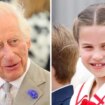 King Charles and Princess Charlotte's incredibly sweet pop culture connection