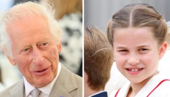 King Charles and Princess Charlotte's incredibly sweet pop culture connection