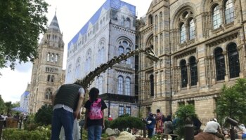 La atracción turística del verano en Londres: un jardín 'jurásico'