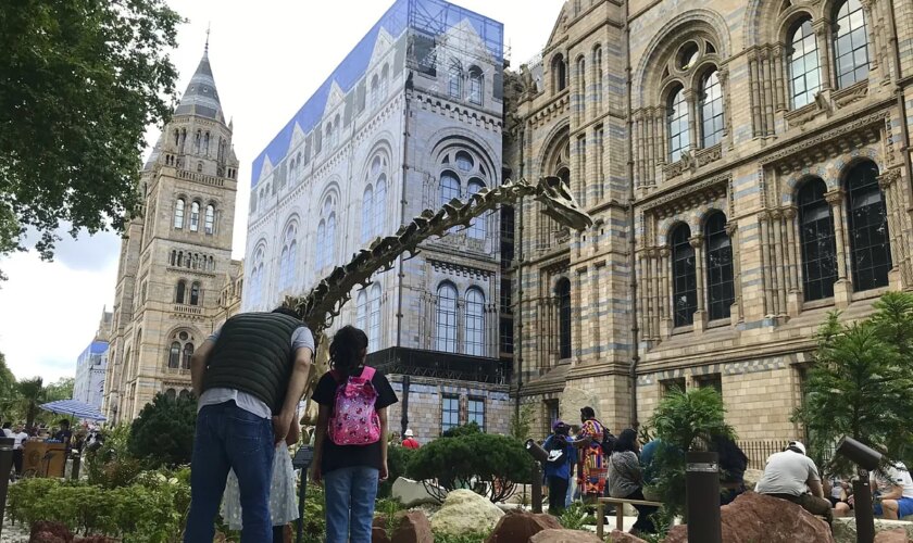 La atracción turística del verano en Londres: un jardín 'jurásico'
