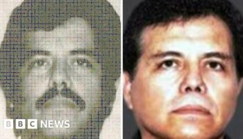 Leader of Mexico's Sinaloa drug cartel held in US