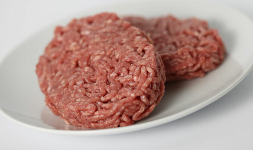 Leclerc, Intermarché, Cora… des steaks hachés vendus partout en France potentiellement contaminés par la bactérie E. coli