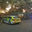 Man found dead in horror Newham park double stabbing with two teens in hospital