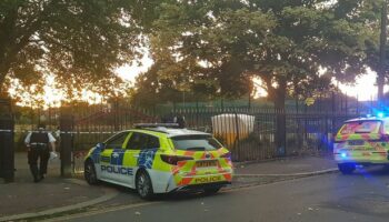 Man found dead in horror Newham park double stabbing with two teens in hospital