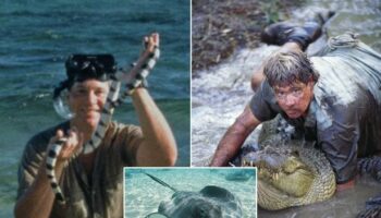 Mystery of Steve Irwin's death tape - what happened to lost footage of last moments