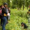 « On touche la terre, on est bien » : une balade pour se reconnecter à la nature au domaine de Saint-Cloud