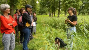 « On touche la terre, on est bien » : une balade pour se reconnecter à la nature au domaine de Saint-Cloud