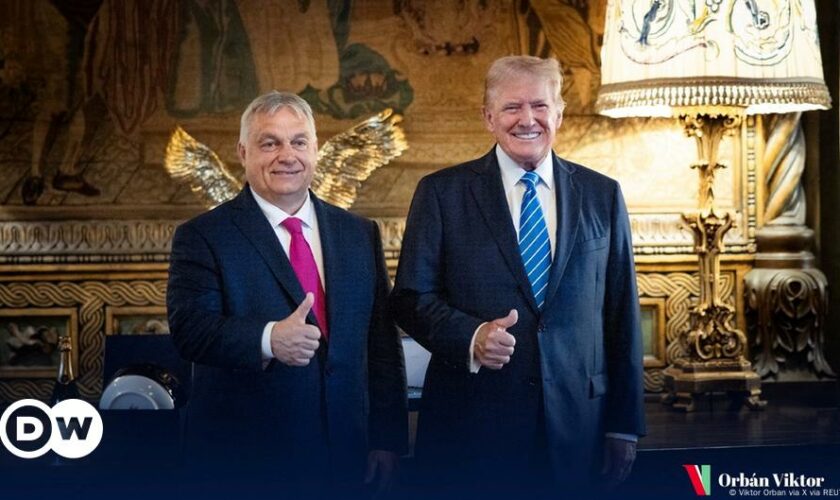 Orban sorgt mit Besuch bei Trump erneut für Ärger in der EU