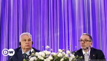 Orban's right-wing group meets EU parliament's conditions