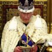 Pompöse Parlamentseröffnung: König Charles verliest Regierungspläne