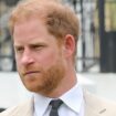 Prince Harry finding himself in 'strange unfamiliar world which grows increasingly unfriendly'