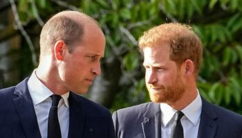 Prince Harry takes swipe at William's 'alarming' hair loss as 'resemblance to Diana faded'