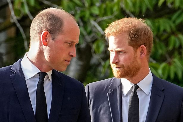 Prince Harry takes swipe at William's 'alarming' hair loss as 'resemblance to Diana faded'