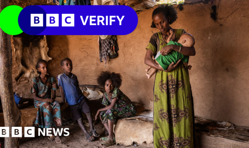 Satellite images and doctor testimony reveal Tigray hunger crisis