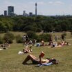 UK weather: 'Four-day heatwave' to send temperatures 'skyrocketing above 30C' next week