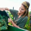 Wegen geplanter Umbenennung: Pfälzer wollen die Weinkönigin retten