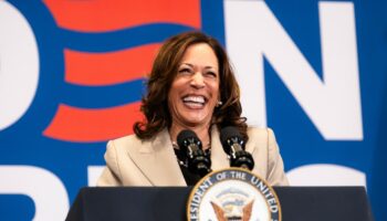 What coconut trees and Charli XCX’s ‘Brat’ have to do with Kamala Harris