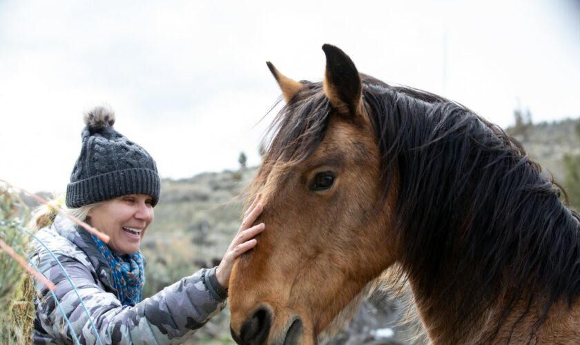 ‘Horse detective’ adopts wild mustangs, reunites them with herds
