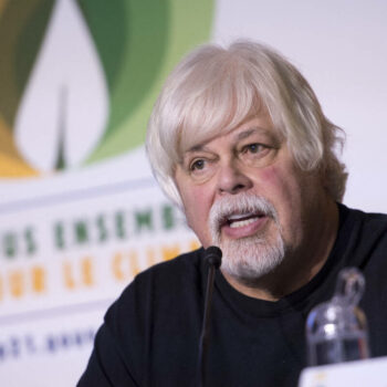 Arrestation de Paul Watson : le Japon demande au Groenland l’extradition du militant anti-chasse à la baleine