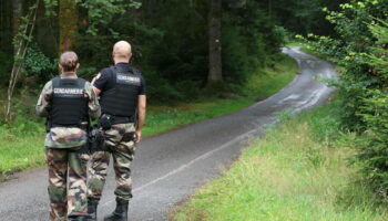 Lina : les recherches dans les Vosges s’achèvent, sans découverte d’«élément particulier»