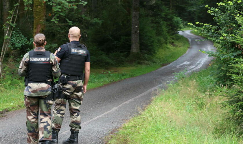 Lina : les recherches dans les Vosges s’achèvent, sans découverte d’«élément particulier»