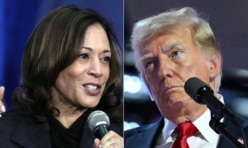 Élection présidentielle américaine 2024 : les résultats des sondages, Harris peut-elle battre Trump ?