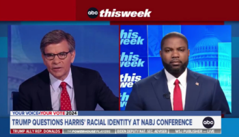 George Stephanopoulos repeatedly presses Rep. Byron Donalds on VP Harris' racial identity in heated exchange