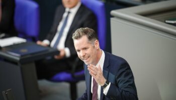 Verhandlungen über Bundeshaushalt: FDP-Fraktionsvorsitzender beschwichtigt im Haushaltsstreit der Ampel