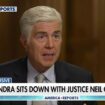 Justice Gorsuch has brief warning about Biden's SCOTUS proposals: Too many laws can pose 'a danger'
