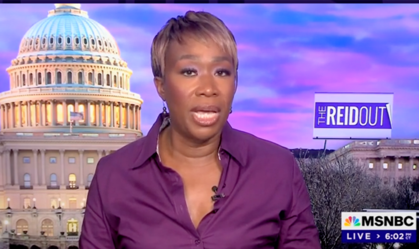 MSNBC’s Joy Reid says Mark Kelly was safer VP pick because he’s ‘super White’ like a ‘mayonnaise sandwich’