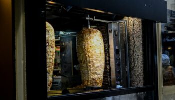 Döner: EU prüft Einsprüche gegen türkischen Antrag zu Dönerfleisch