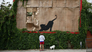 Banksy veut redonner le moral aux Britanniques avec ses œuvres d’animaux disséminées dans Londres