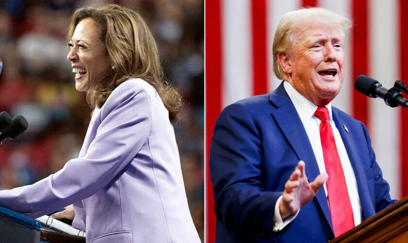 Trump accuses Harris of 'stealing' his no tax on tips promise after her campus rally in Las Vegas