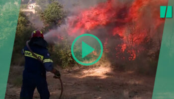 Incendies en Grèce : la France envoie des renforts et les évacuations se multiplient près d’Athènes