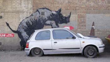 EN IMAGES - Chèvre, piranha et éléphant : à Londres, le drôle de bestiaire de Banksy