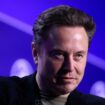 US-Wahl: Elon Musk meldet Cyberangriff auf Livegespräch mit Donald Trump