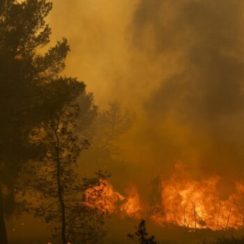 Griechenland: Fortschritte im Kampf gegen Waldbrand nahe Athen